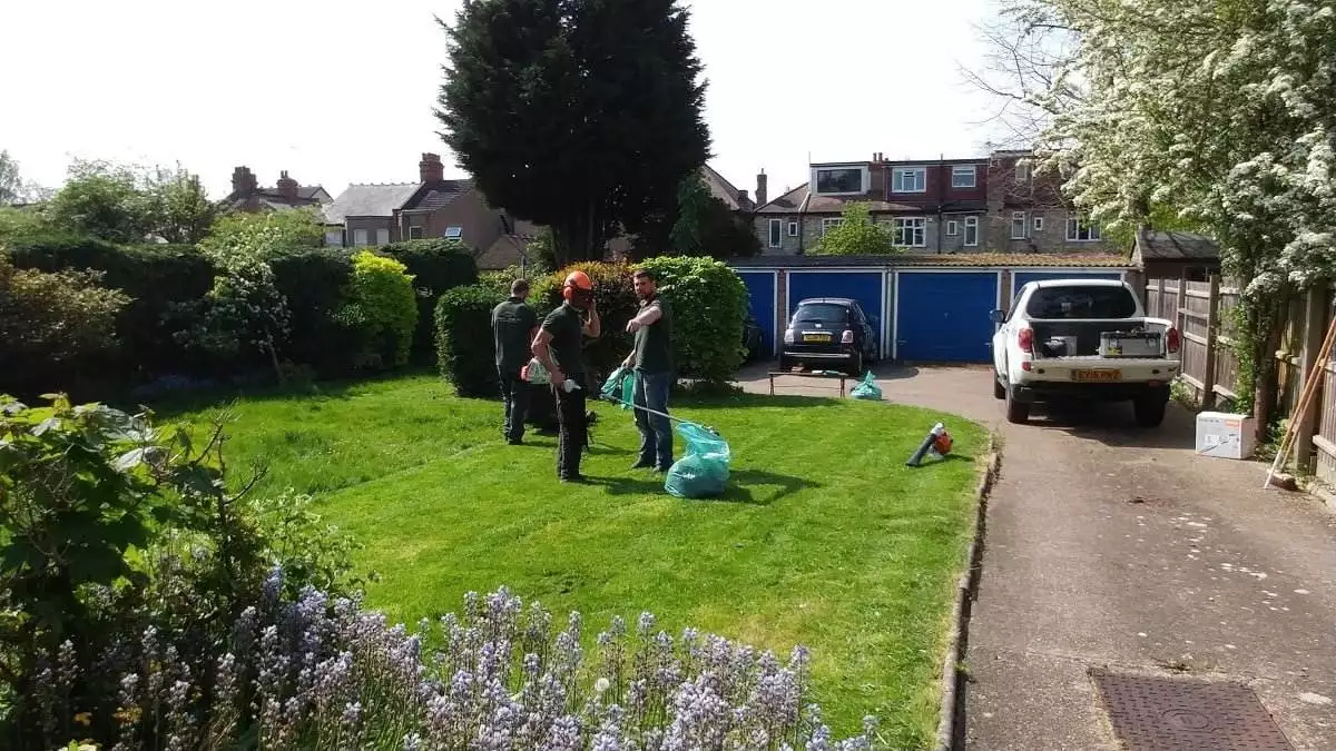 FlashMNS G1 IN5 N1 O2.00 Y0.00 C0.00 YT0 CT0 S150 C30   FM0   FC000000000