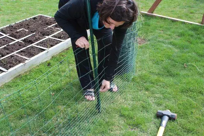 7bf7a5bc1df0f00754118e850f28074c-3027388356