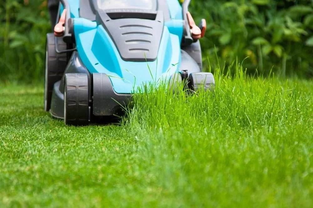 Lawn-Maintenance-Company-Miami-3746286863