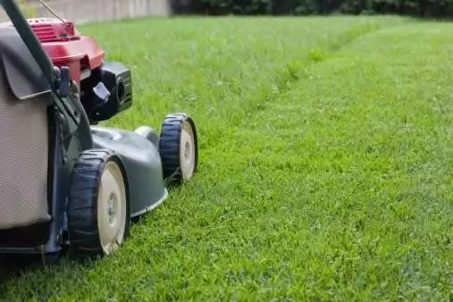 Lawn_Care_Tips_for_Busy-ed884b09a7482be9ca829648ee7cd28d-3546105391