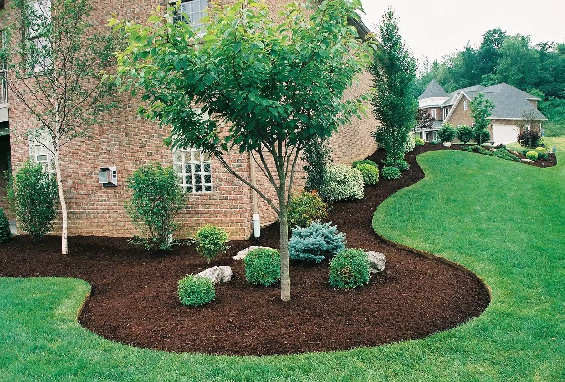 gorgeous-landscaping-augustjpg-1487730672