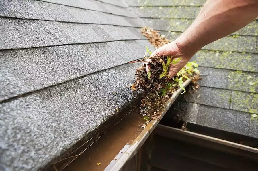 gutter-cleaning-1295312464