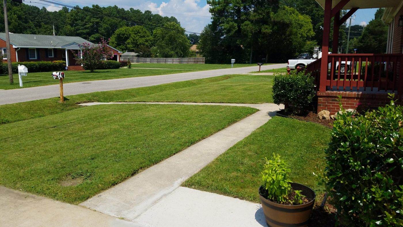 lawn1-3202401513