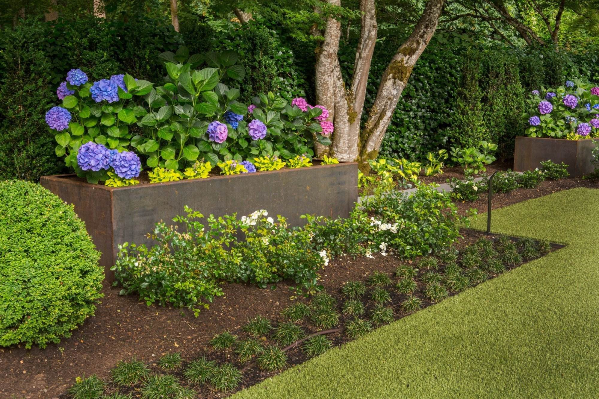 Amey Garden